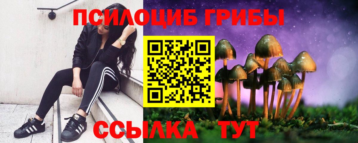 Галлюциногенные грибы ЛСД  купить наркотик  Полысаево  Вход с VPN 