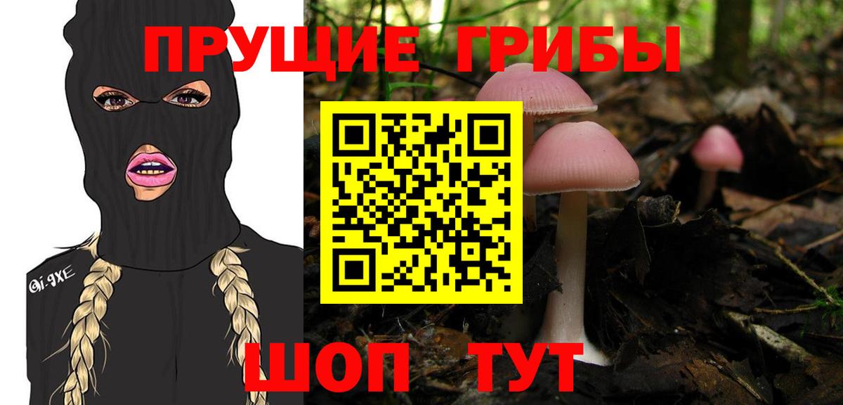 Псилоцибиновые грибы MAGIC MUSHROOMS Полысаево